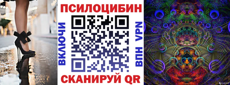 Купить где  Заволжье  Псилоцибиновые грибы мицелий 